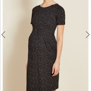 Isabella Oliver Amelie Maternity Pleat Dress